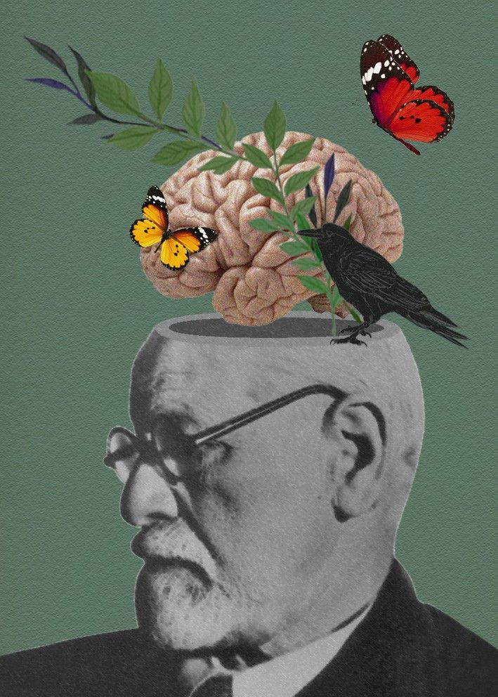 Neuropsicanálise: conheça essa vertente da psicanálise que dialoga com a neurociência